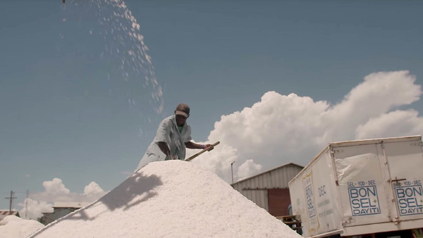 Haiti: How salt can help fight a debilitating disease