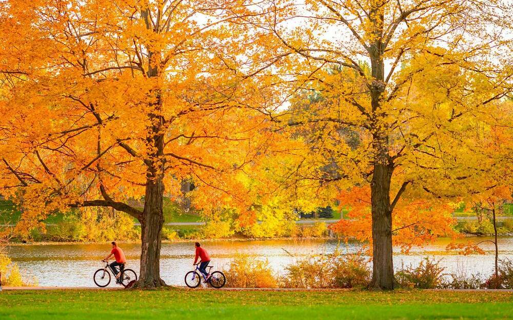 Two people ride bikes along St. Mary's Lake and through fall yellow trees.