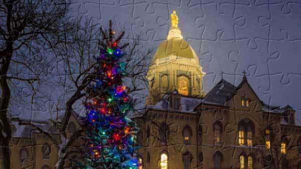 Christmas tree and the Golden Dome in the background.