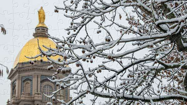 Snowy branches and the Golden Dome.