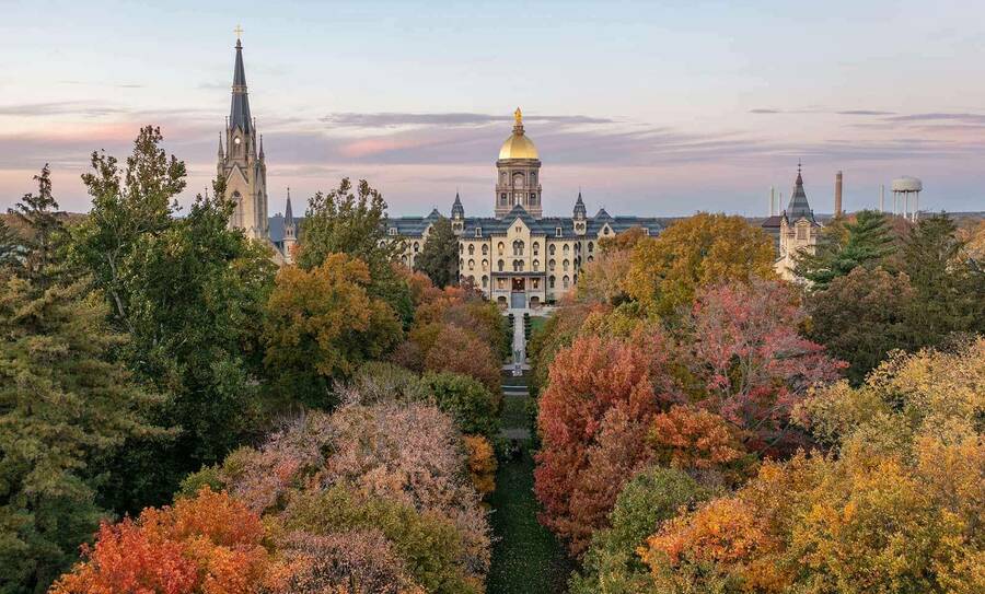 Notre Dame's Main Building and Basilica of the Sacred Heart poke out of fall trees.