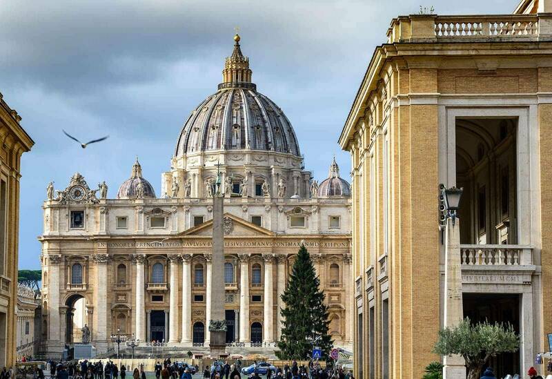 A large Christmas tree outside St. Peter’s Basilica. There is a crowd of people at the entrance and a seagull flying past in the sky.