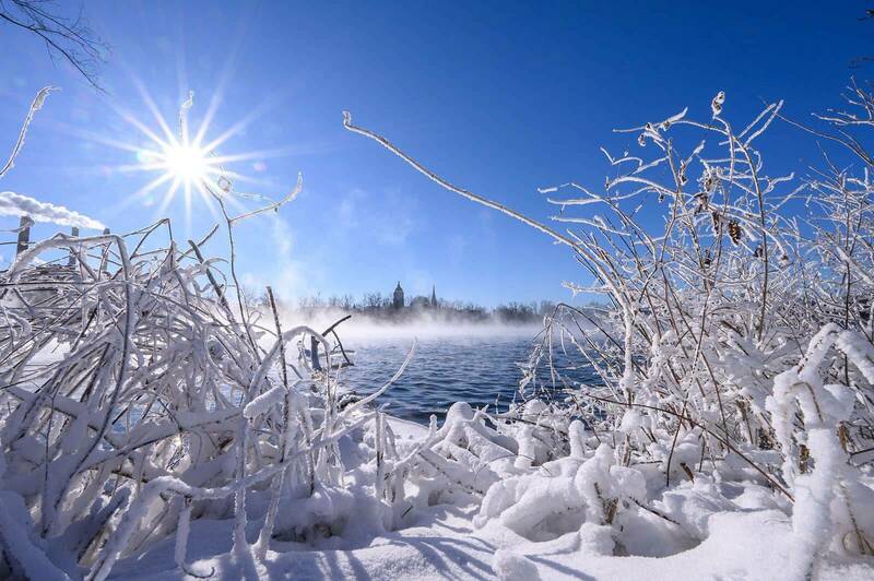 Tall grass and weeds covered in ice and snow near a blue lake. In the background the sun creates a starburst effect in the sky.