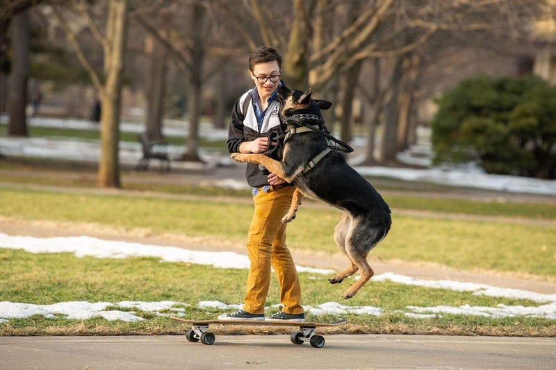 A student rides a skateboard as a German Shepard jumps in the air next to them.