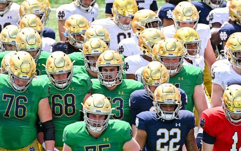 A group of football players wearing gold helmets. Some of the players are wearing green and white jerseys, while others wear blue.