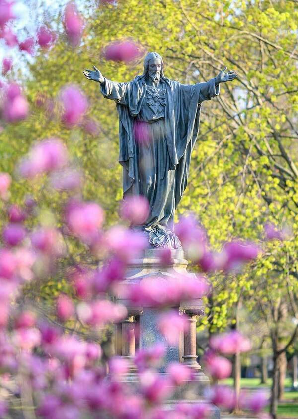 A Jesus statue focused in the background, a magnolia tree blurred out in the foreground.