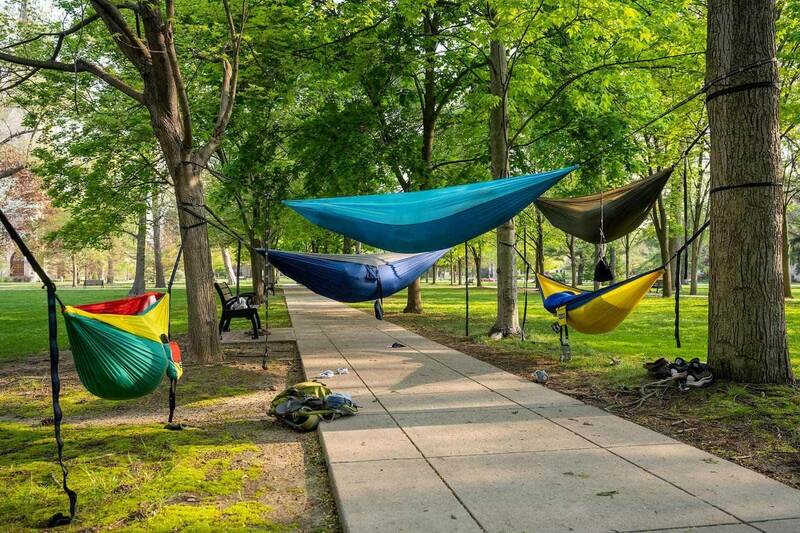 Five hammocks hung between trees and across a walking path on campus.