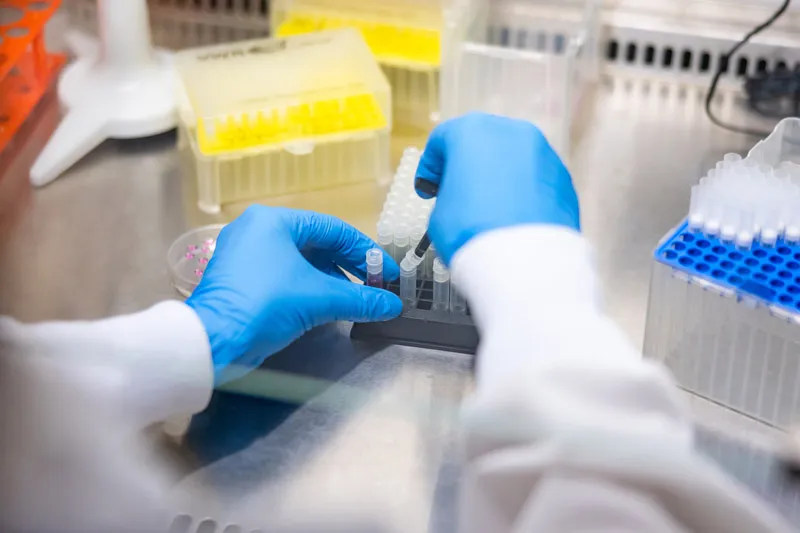 Close-up of a researcher wearing blue nitrile gloves using a pipette to transfer liquid into small sample vials resting on a metal lab counter.