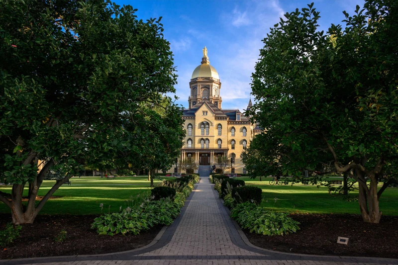 The Golden Dome of the Main Building at the University of Notre Dame, framed by a walkway and large green trees.